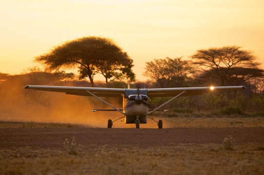 10 day southern tanzania fly in safari from Dar Es Salaam to Ruaha and Nyerere Selous