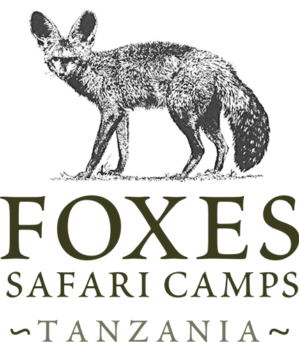 Foxes Safari Camps